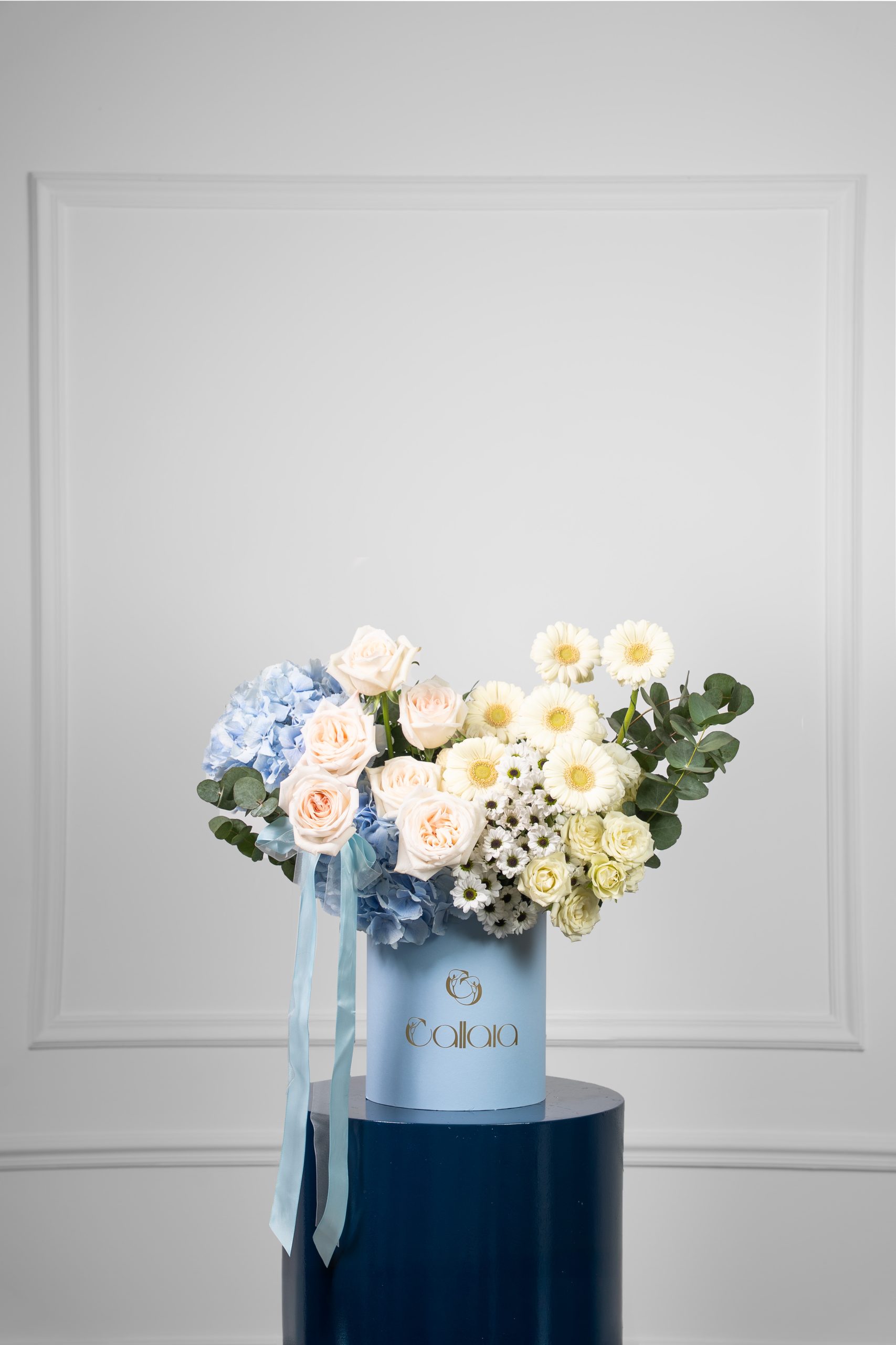 1 2 Cloudelle - Image 1