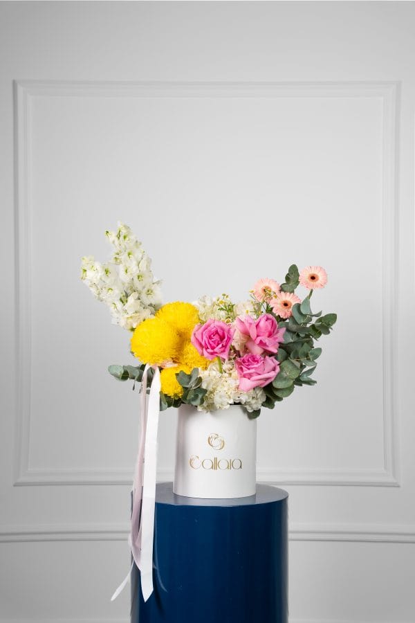 Luminelle Box Arrangement
