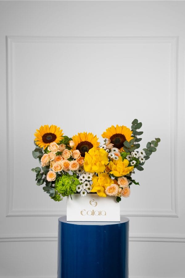 Solara Bloom Box