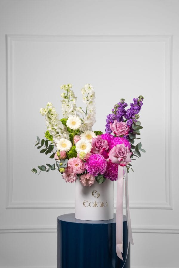 Violia Box Arrangement