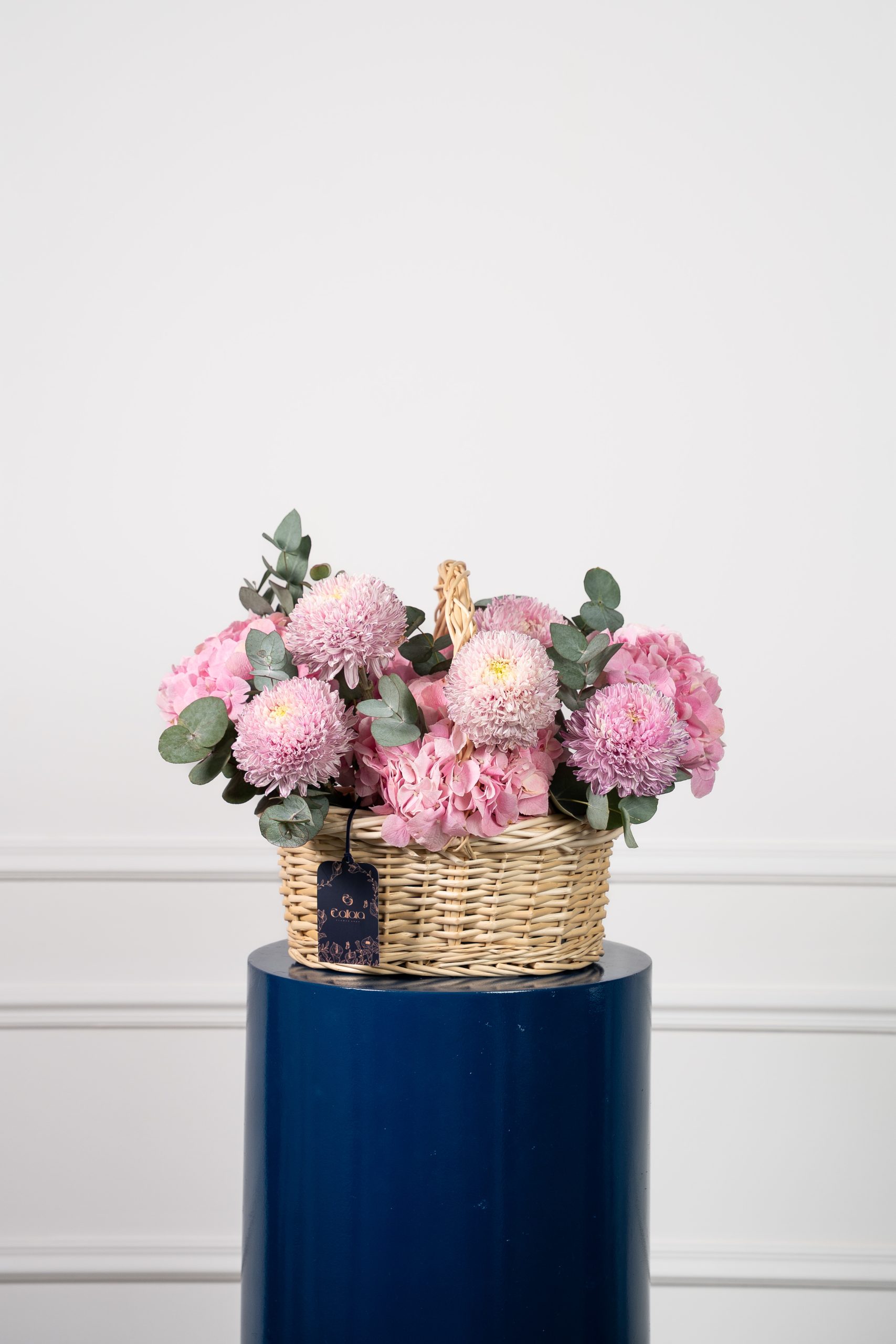 3 Blush Field - Image 1