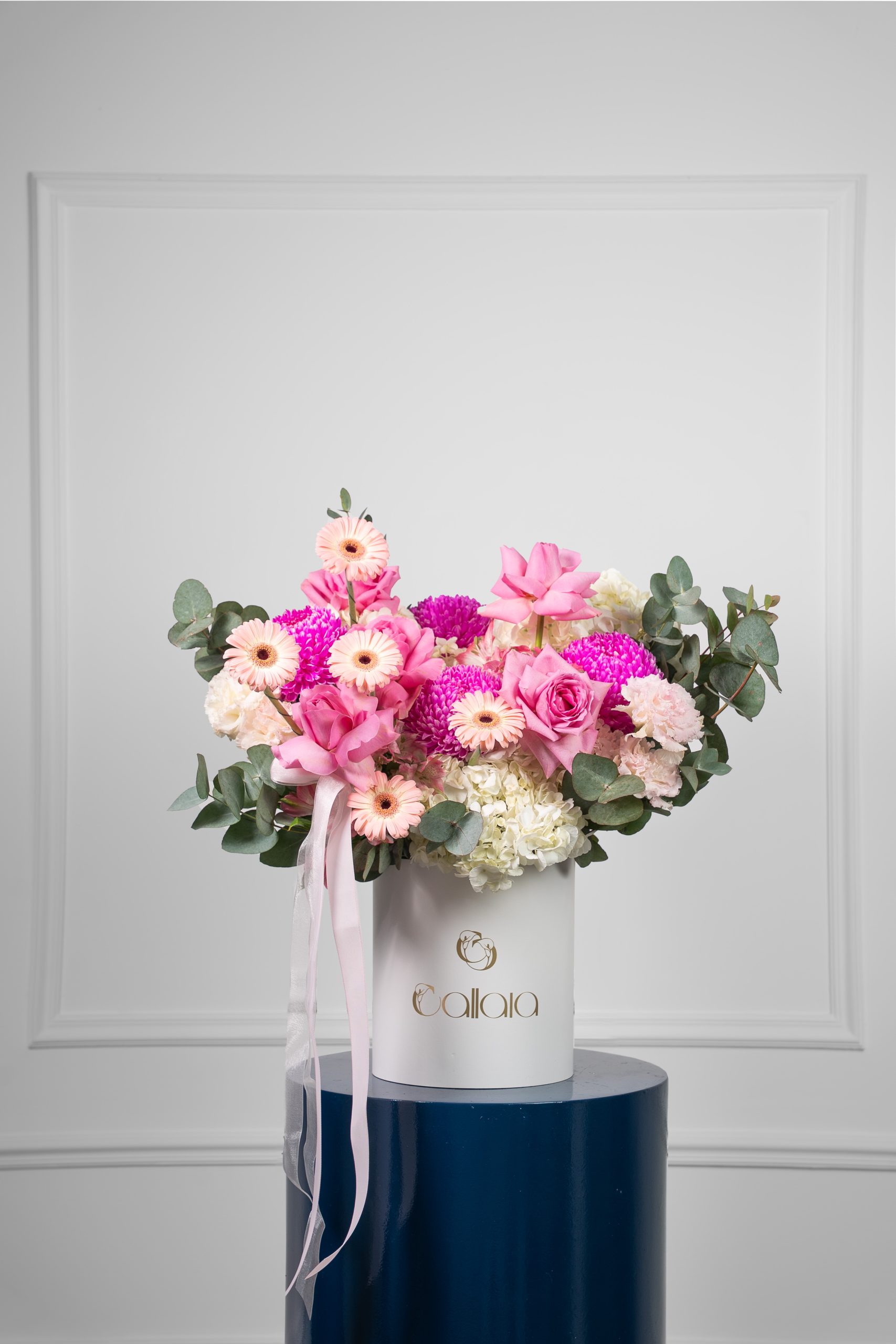 5 4 Florevia - Image 1