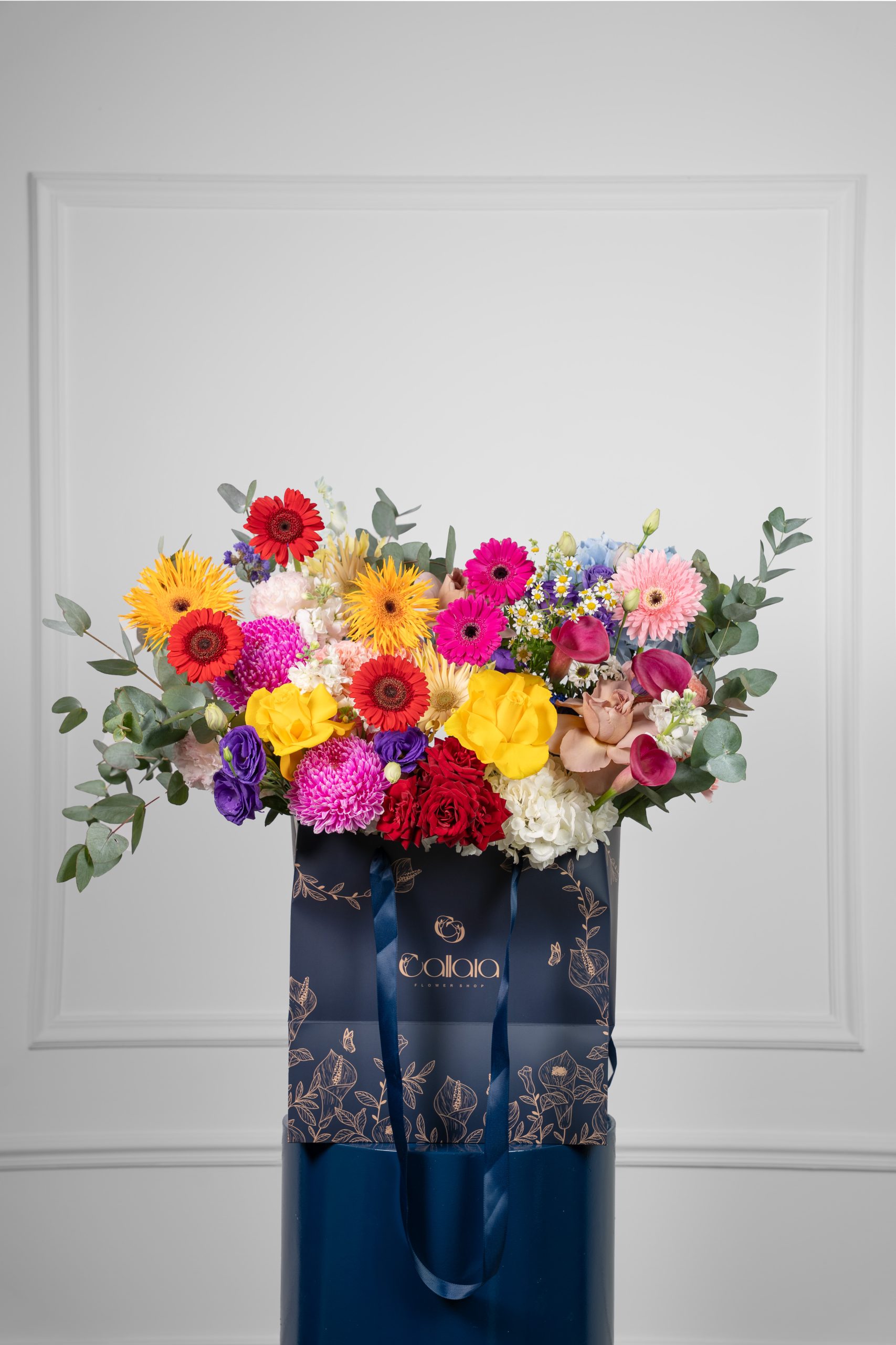 DSC03303-Edit Vibrance - Image 1