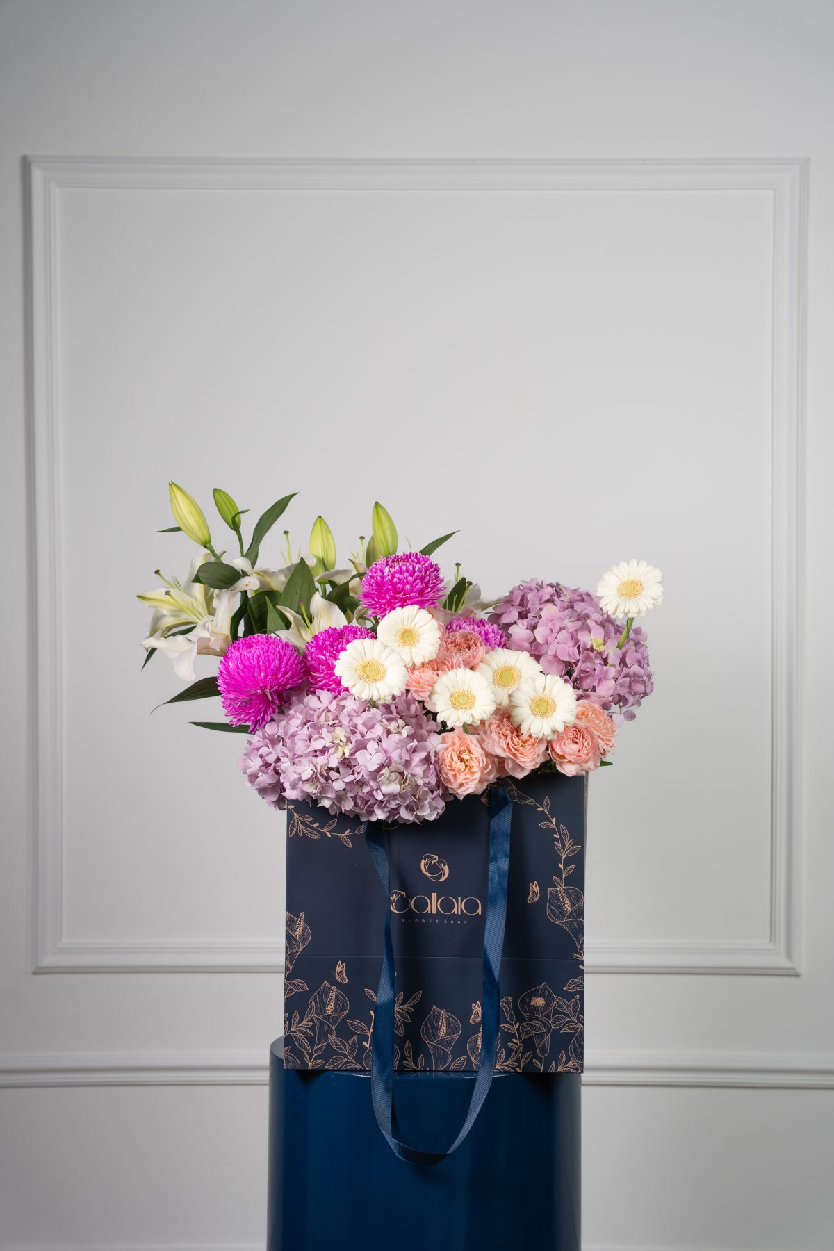 DSC03307 Blumeza - Image 1