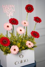 Cherry Belle - Image 7