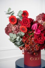 Red Bliss - Image 5