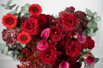 Red Bliss - Image 8