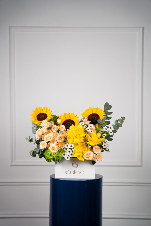 Solara Bloom Box