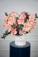 Harmony Bloom Box