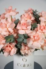 Harmony Bloom Box - Image 4