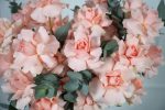 Harmony Bloom Box - Image 5