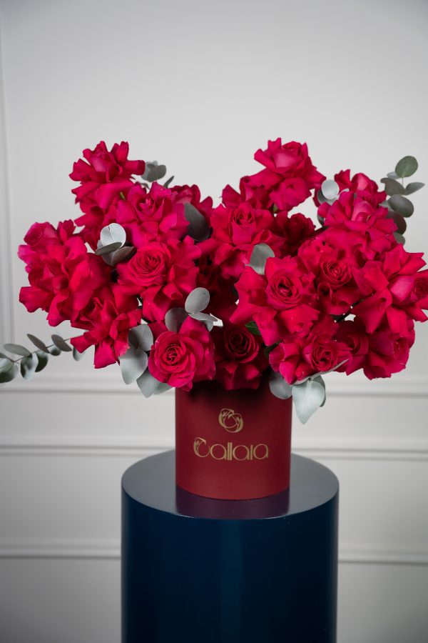 Fucshia Bloom Box