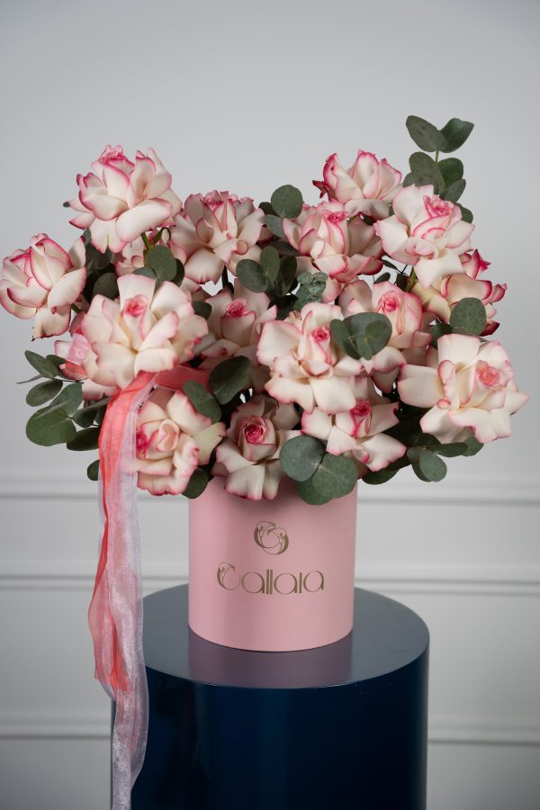 Blush Bloom Box
