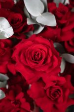 Crimson Bloom Box - Image 8