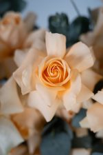 Peach Bloom Box - Image 7