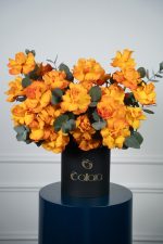 Citrus Bloom Box