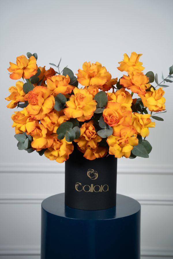 Citrus Bloom Box