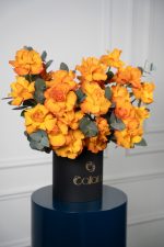 Citrus Bloom Box - Image 2