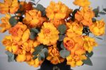 Citrus Bloom Box - Image 5