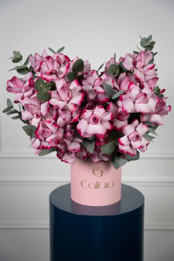 Deep Purple Bloombox