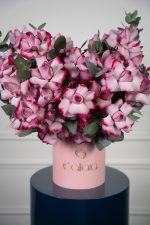 Deep Purple Bloombox - Image 2