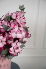 Deep Purple Bloombox - Image 5