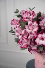 Deep Purple Bloombox - Image 6