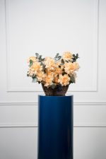 Freedom of Peach Basket