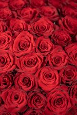Red Rose Luxury Box - Image 4