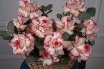 Blushing Elegance Basket - Image 4