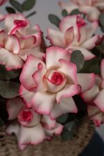 Blushing Elegance Basket - Image 5