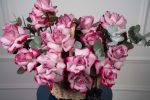 Garden's Embrace Basket - Image 2