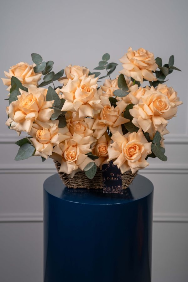 Freedom of Peach Basket