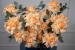 Freedom of Peach Basket - Image 7
