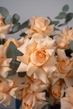 Freedom of Peach Basket - Image 6