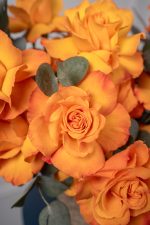 Enthusiasm Bloom Basket - Image 6