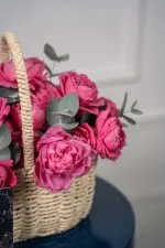 Fuchsia Fields - Image 5