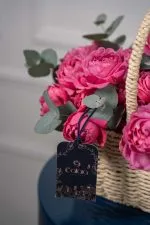 Fuchsia Fields - Image 6