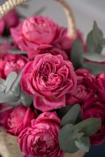 Fuchsia Fields - Image 7