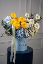 Celestora - Image 3
