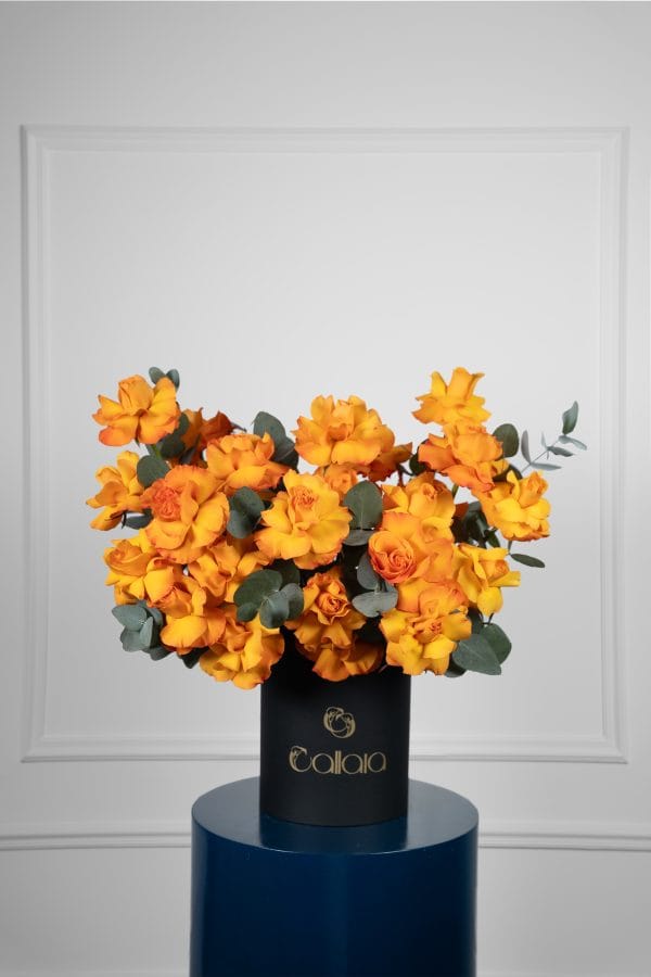 Citrus Bloom Box