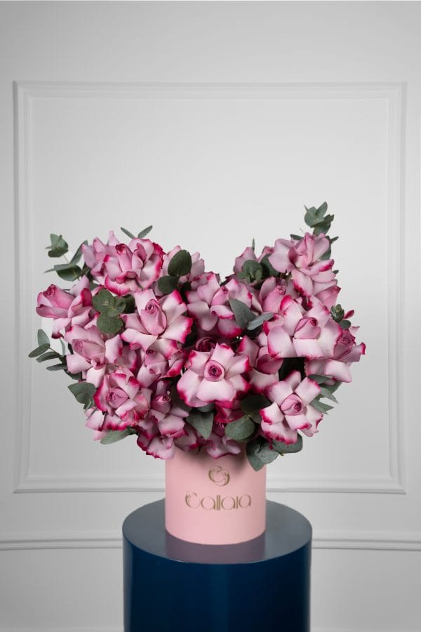 Deep Purple Bloombox