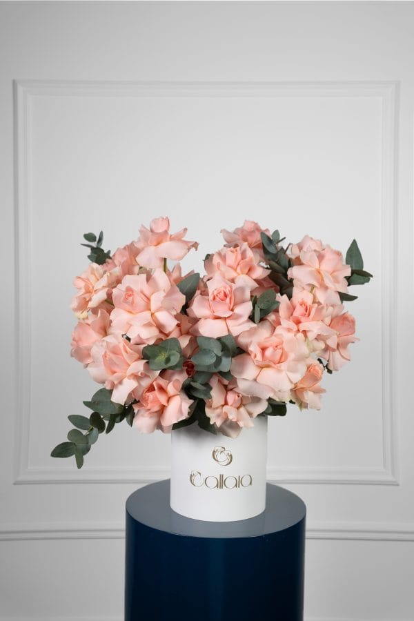 Harmony Bloom Box
