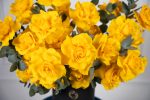 Sunshine Bloom Box - Image 8
