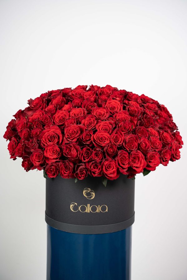Red Rose Delight Box