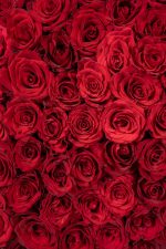 Heart Red Rose Luxury - Image 2