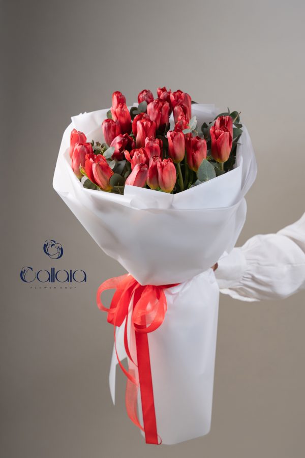Tulip Red