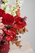 Crimson Blush - Image 3