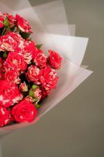 Spray Rose Fireworks - Image 3