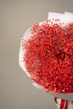 Gypsophilla Red - Image 2